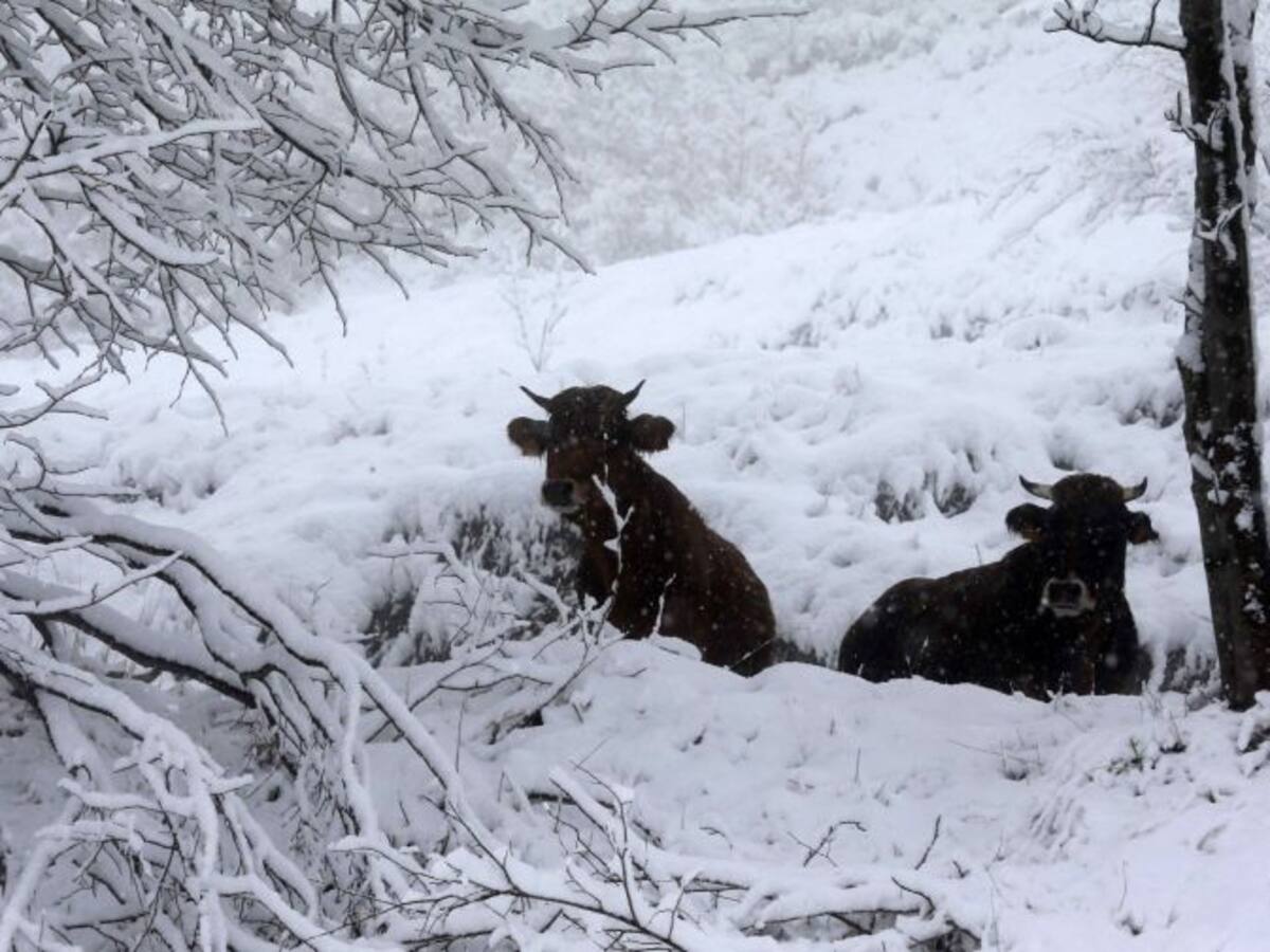 Euskalmet amplía la alerta naranja por nieve a todo el viernes