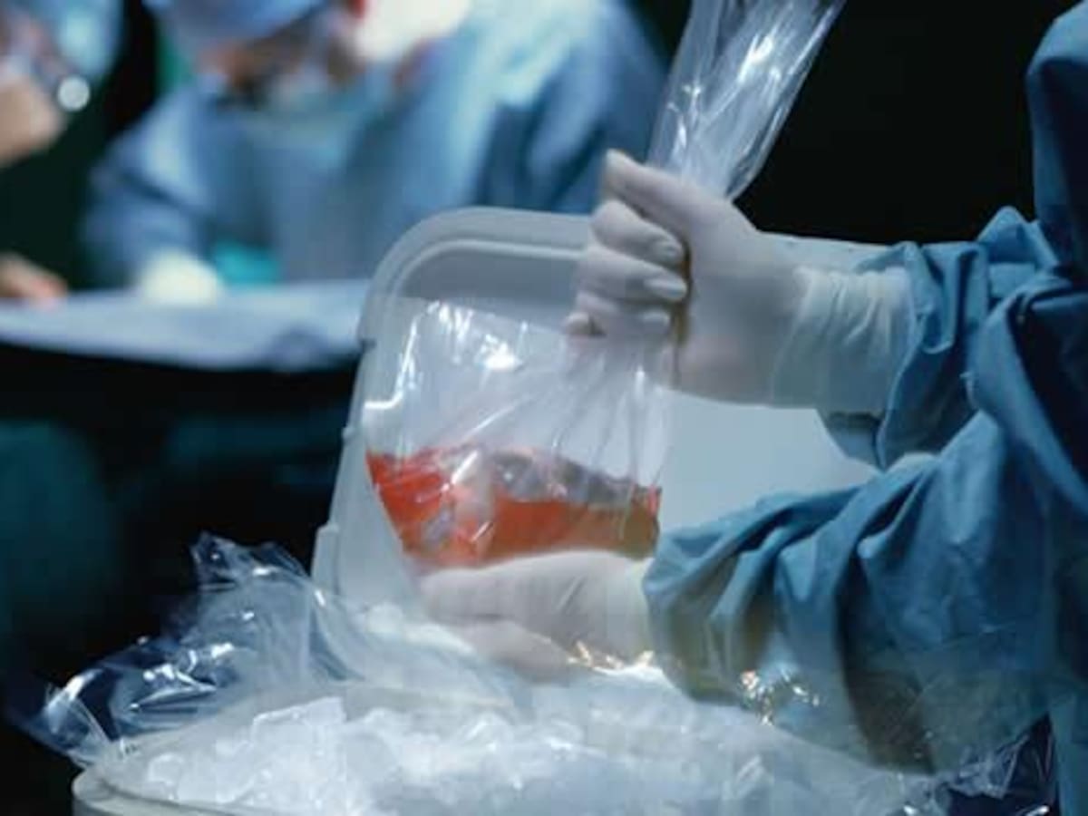 Trasplantados y deporte: El Hospital Mancha Centro demuestra este viernes que hay vida (y competición) tras la operación