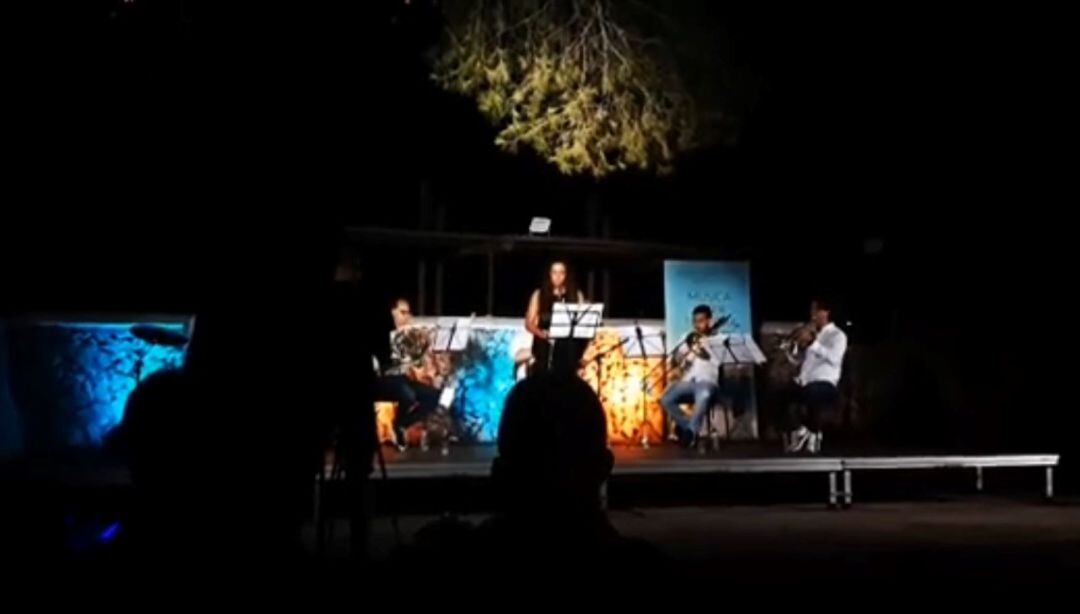 El Festival de Música d'Estiu de JJMM va estrenar el Parc Rubió i Tudurí com espai de concerts amb força èxit. 