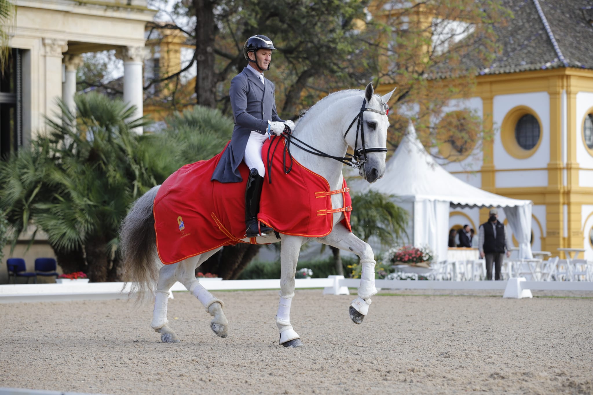 Imagen Jornada doma clasica en Jerez