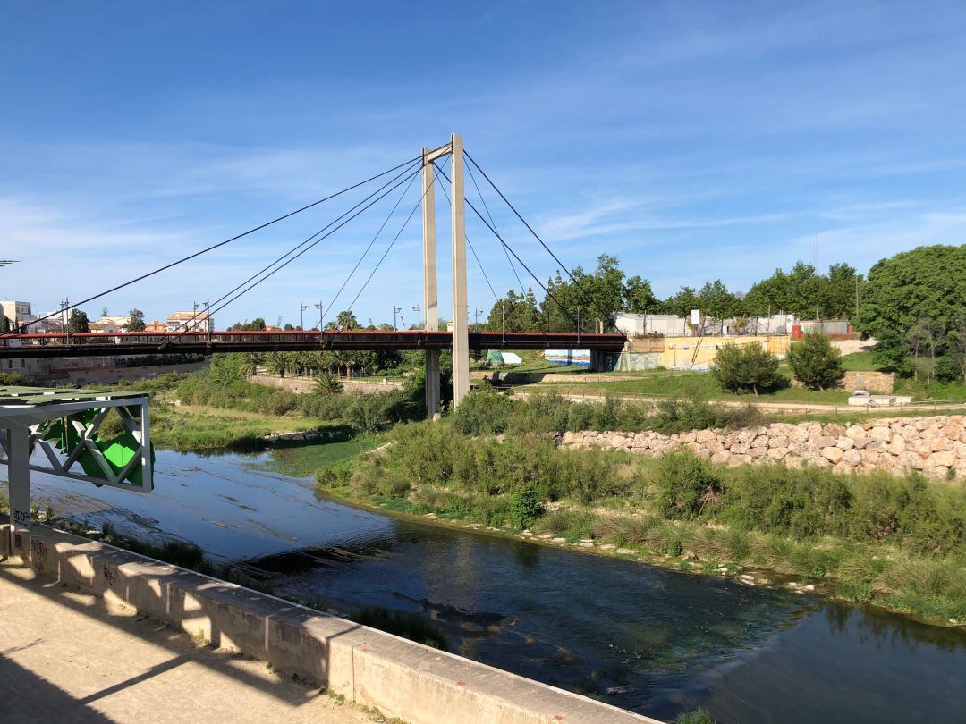 Zona verde del río Serpis a su paso por Gandia 