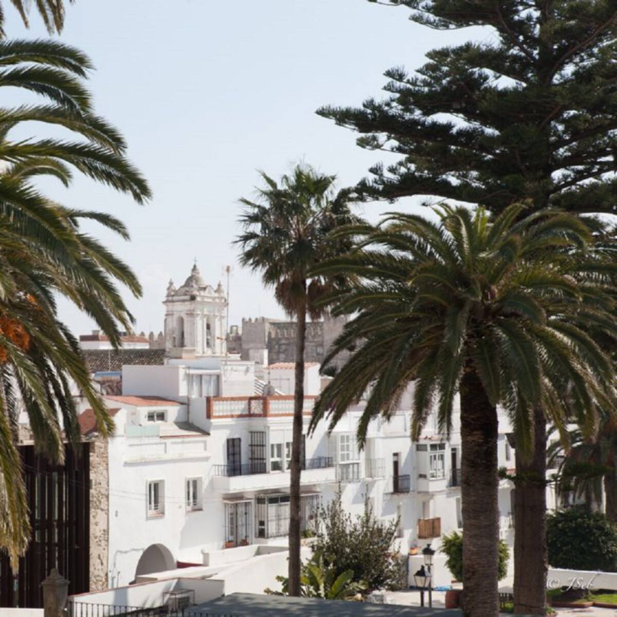 Tarifa, un 2025 de incendios y acceso a la vivienda