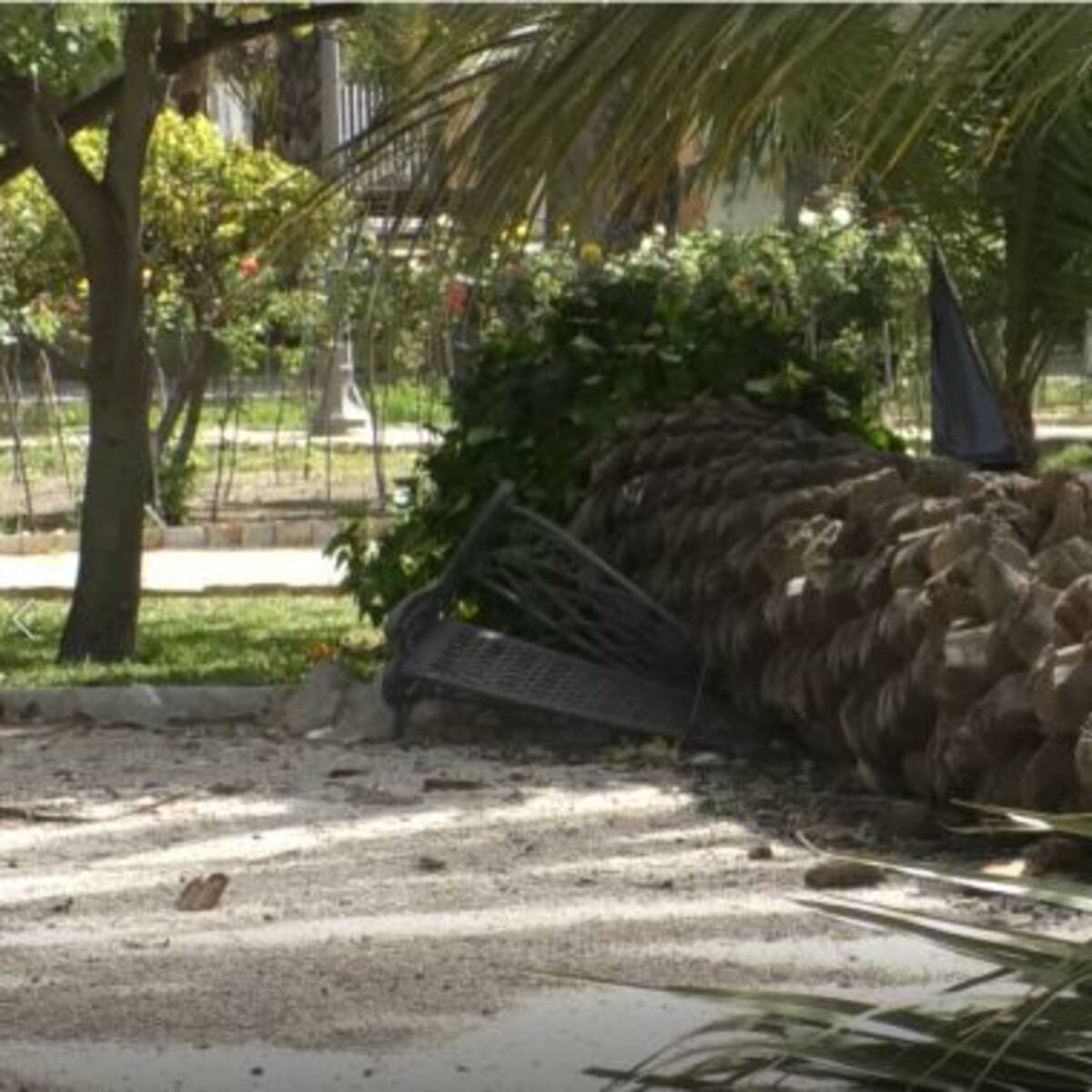 Alerta amarilla por rachas de viento de más de 80 km/h