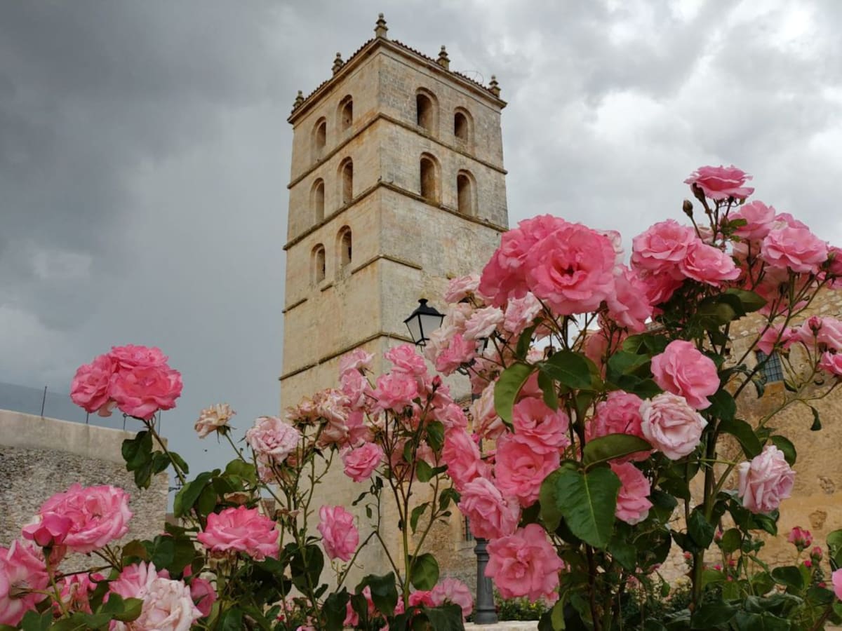 "Para conseguir cobertura nos tenemos que subir a un cerro"