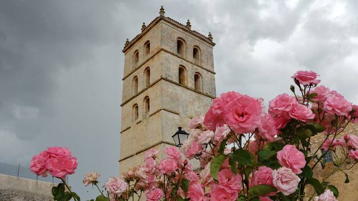 "Para conseguir cobertura nos tenemos que subir a un cerro"