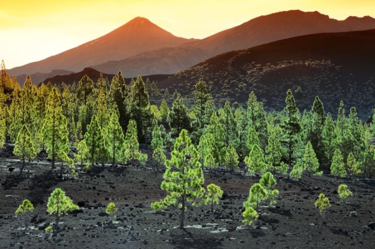 Panorámica del Parque Nacional del Teide