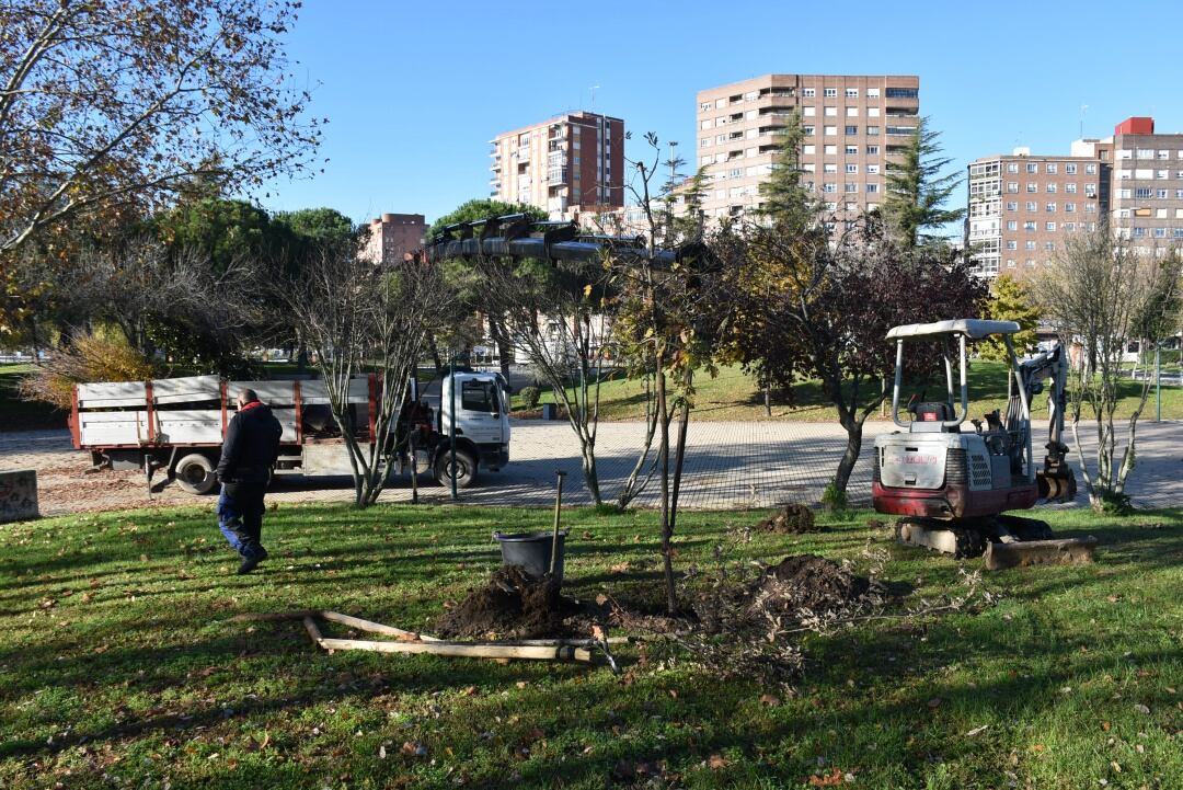 Arbolado