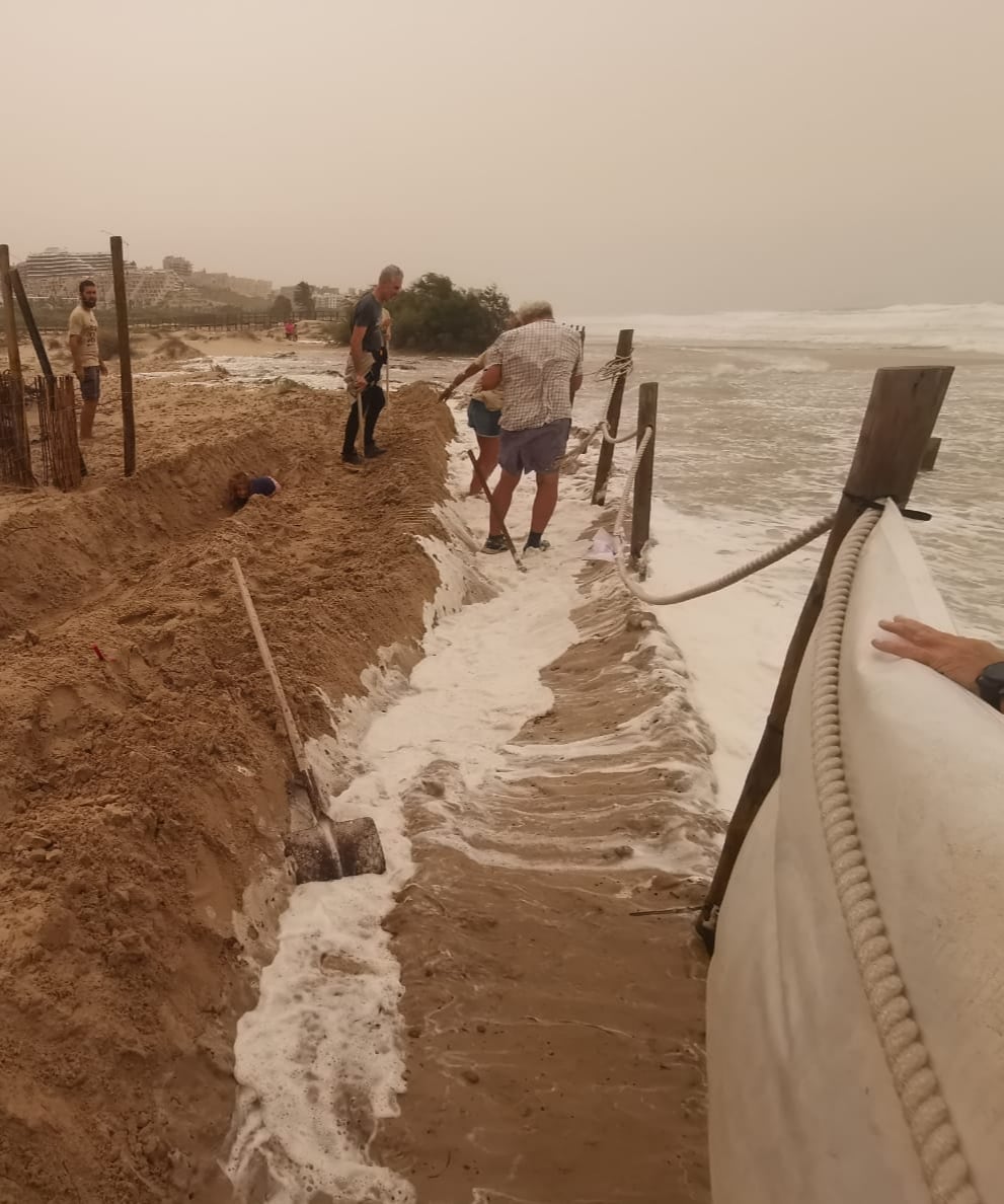 Los voluntarios protegen el nido del temporal