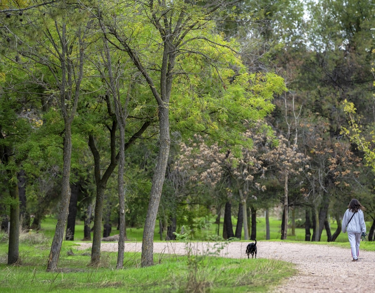 Sendero en el parque del Pozo Norte de Puertollano