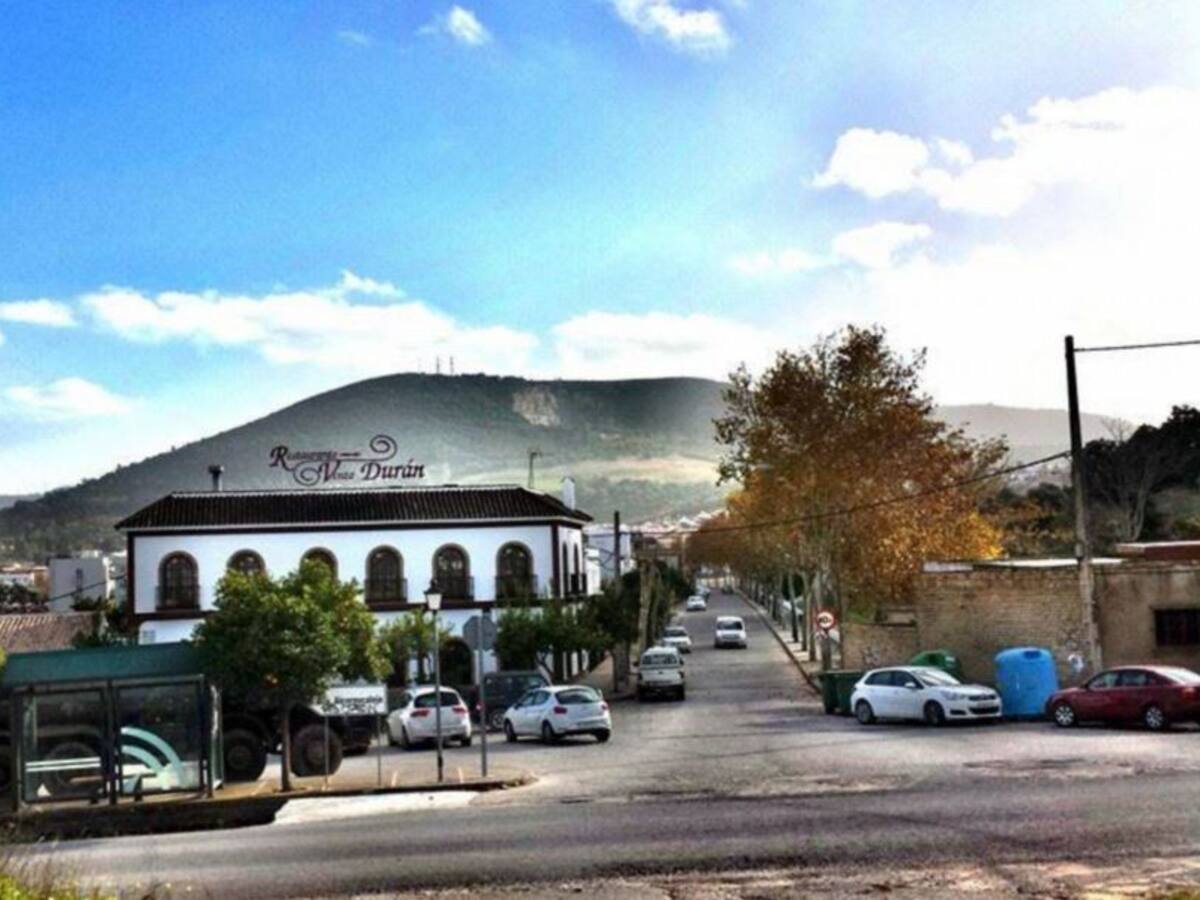 Una estrella Michelín por un venado en salsa