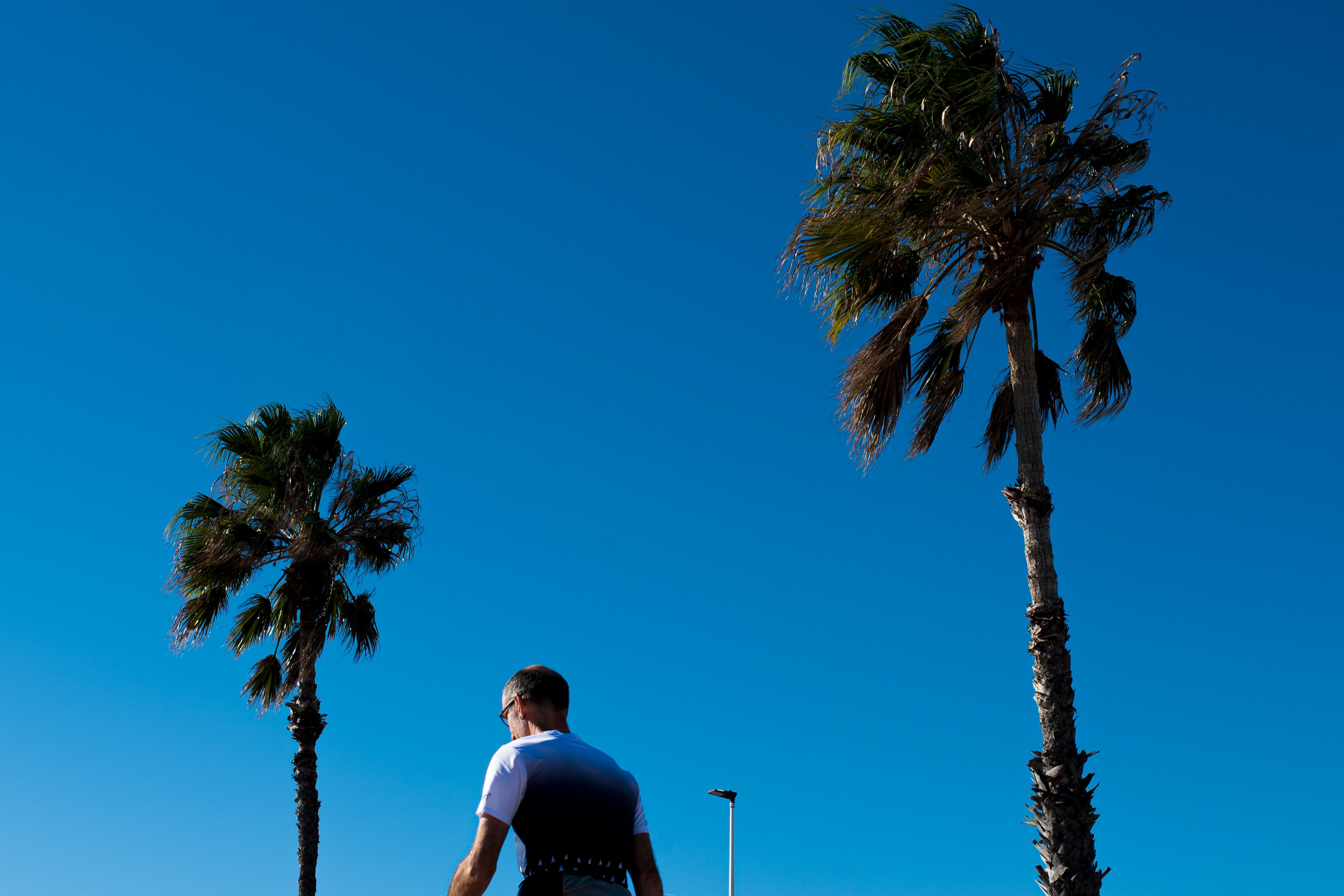 Una persona pasea bajo las palmeras Castellón.