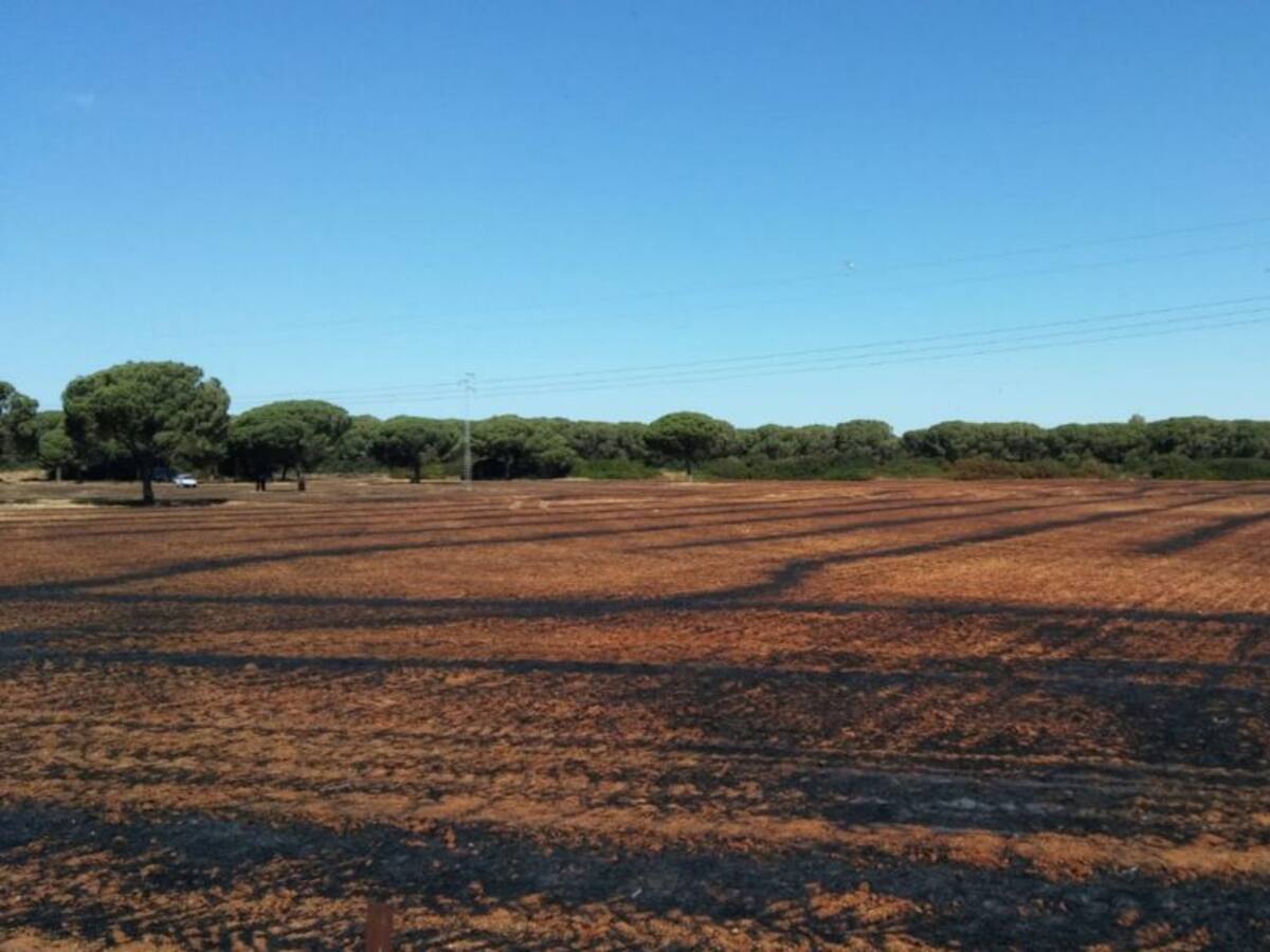 Quince hectáreas afectadas en El Portal por un incendio de trigal y pasto