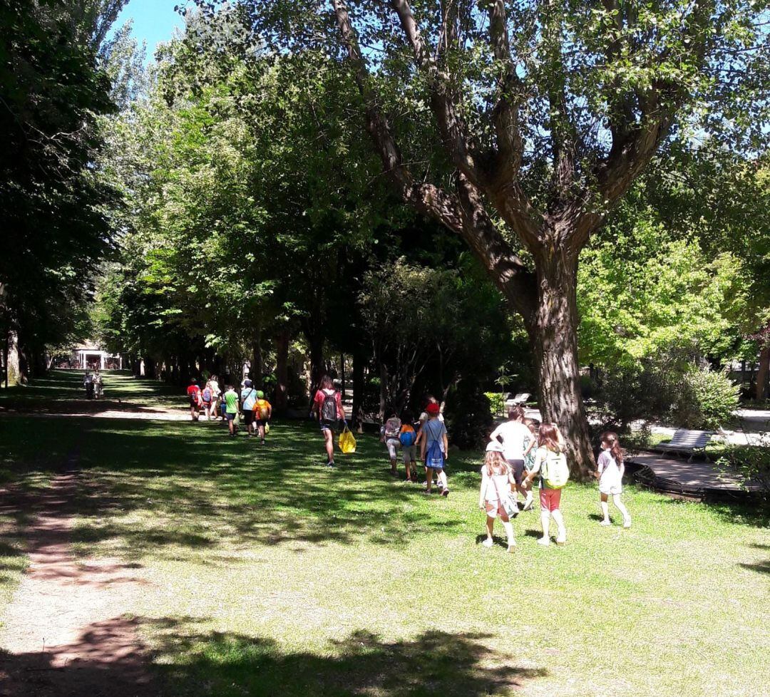 Campamentos de verano en Soria