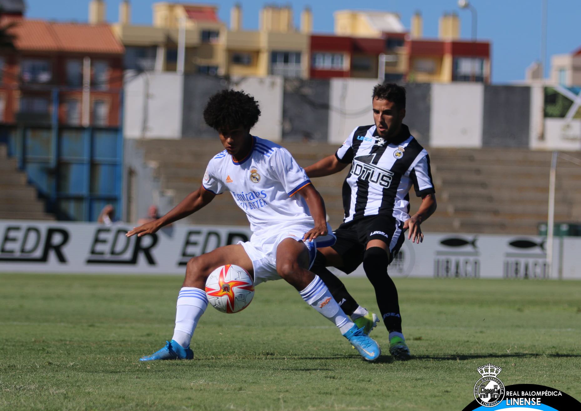 Loren pugna con Peter