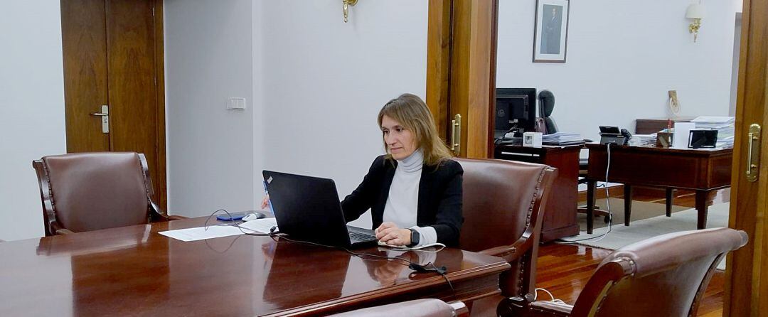 La consejera de Educación durante una videoconferencia