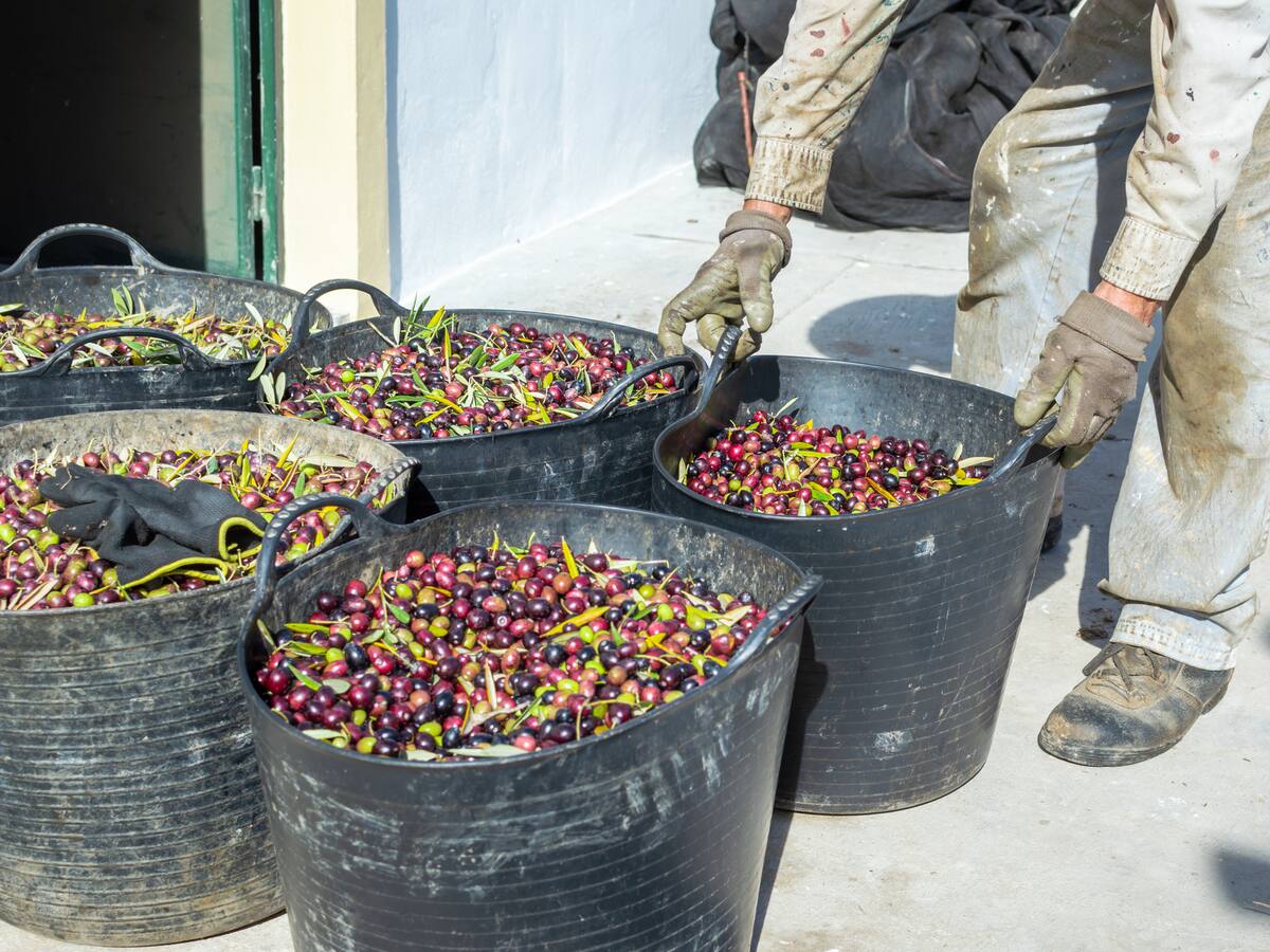 PSOE y PP sacan pecho de los datos del paro en Jaén, pero sindicatos y empresarios recuerdan que es un dato coyuntural