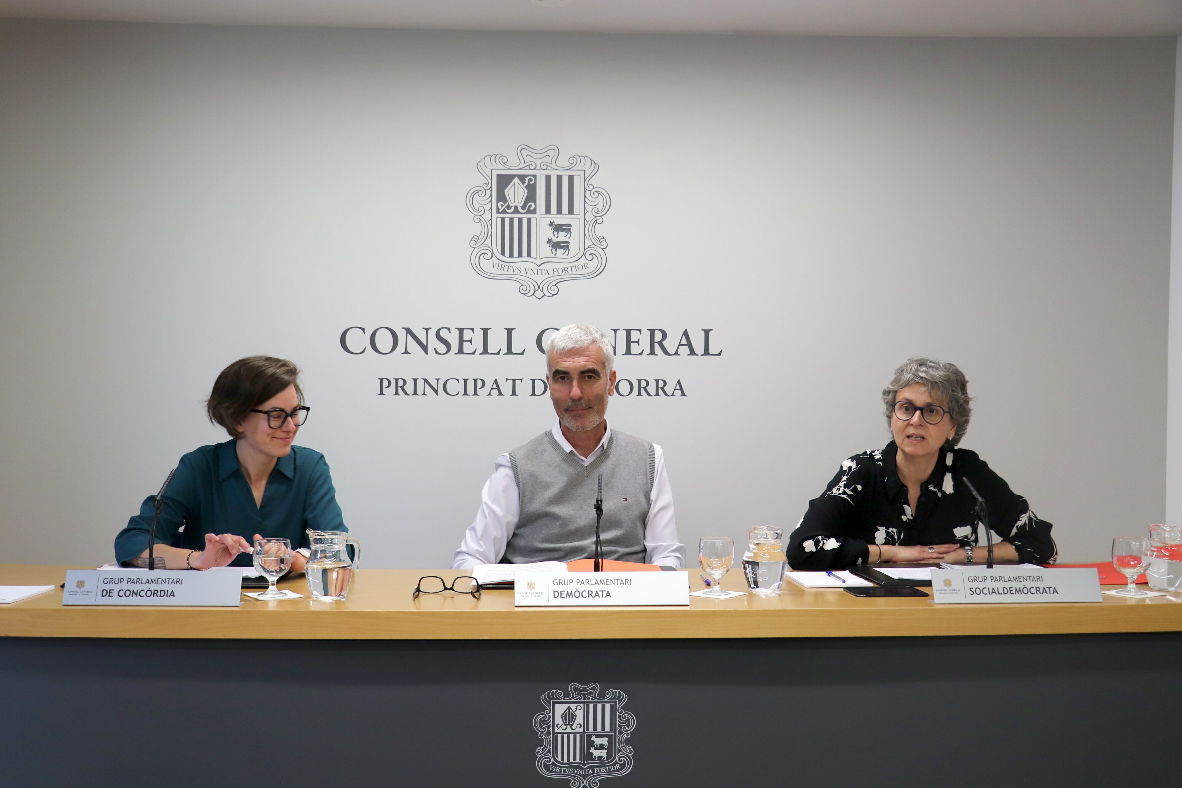 Els consellers generals de totes les formacions, menys d'Andorra Endavant, han pactat la modificació d'aquesta llei