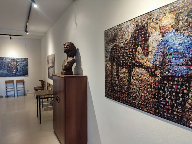 Fotografías de la muestra