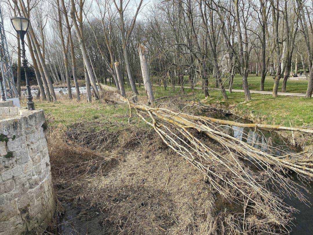 Estado de los entornos de Puentecillas en Palencia