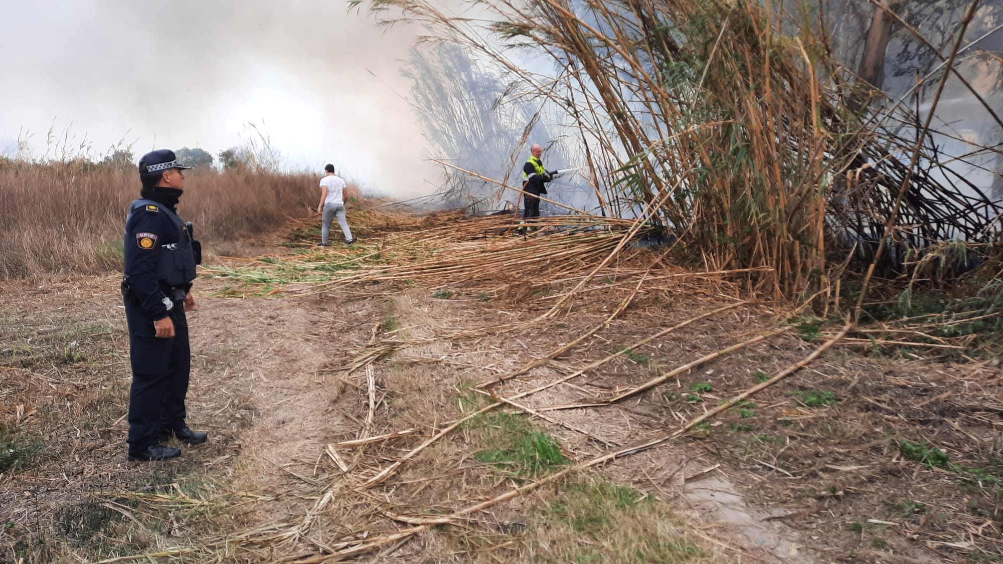 Ocho dotaciones de bomberos trabajan en la extinción de un incendio forestal en la Devesa de El Saler de València.