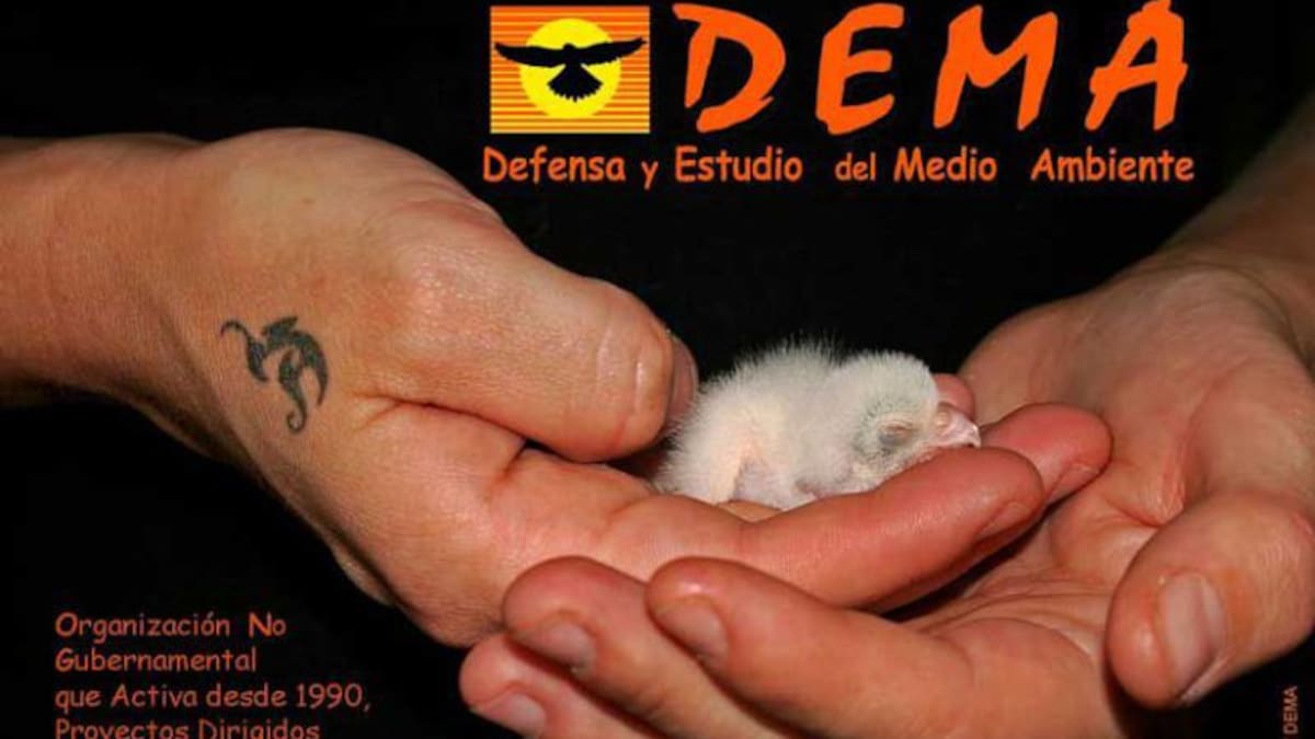 Unión frente a indeferencia