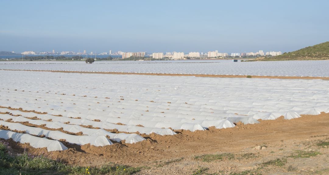 La organizaciones agrarias exigen la puesta en marcha de las medidas del plan Vertido 0