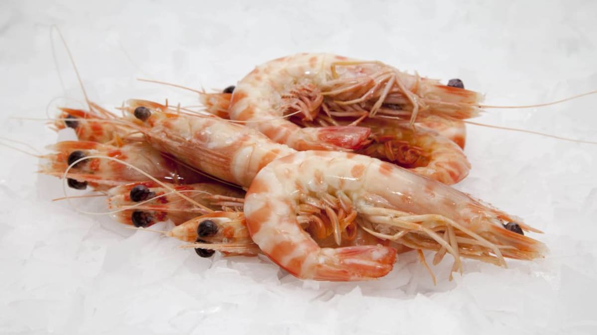 Sabor navideño. Sabor a marisco