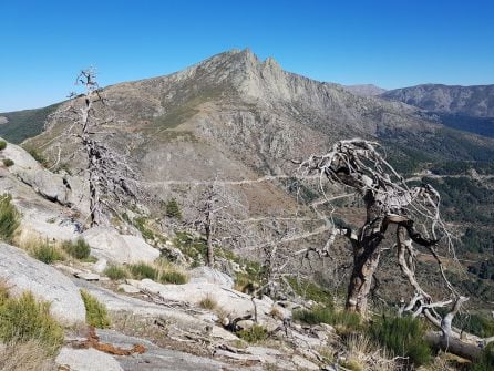 Estado actual de la senda de la Rubía, que fue pasto de las llamas en 2009. Al fondo, el Torozo