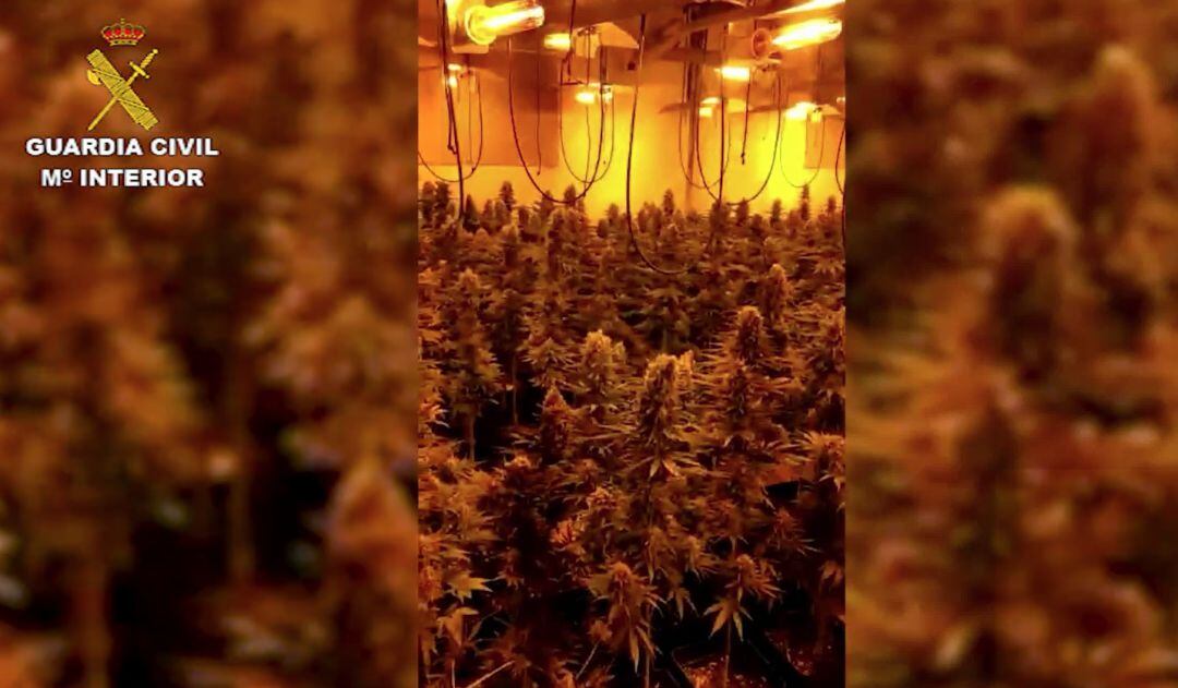 Imagen proporcionada por el cuerpo de seguridad sobre el material incautado