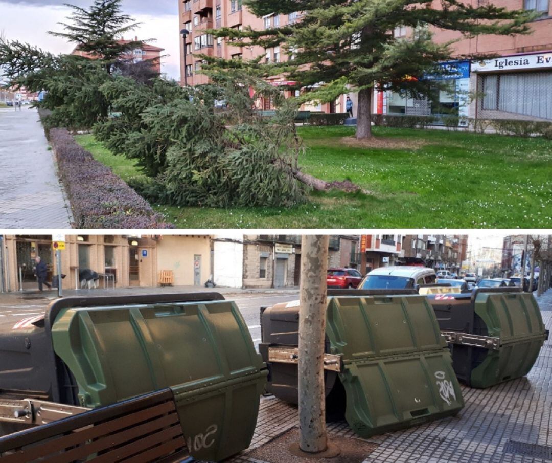 Árboles arrancados o contenedores tumbados han sido algunos de los efectos del temporal.