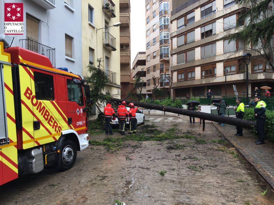 Los bomberos del Consorcio Provincial de Castellón trabajaron en la retirada de un árbol en Vila-real