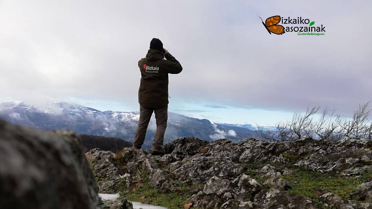 La plantilla de Basozainak se siente infrautilizada por la Diputación