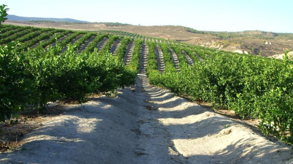 La Llavor 28-03-2015