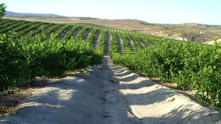 La Llavor 28-03-2015