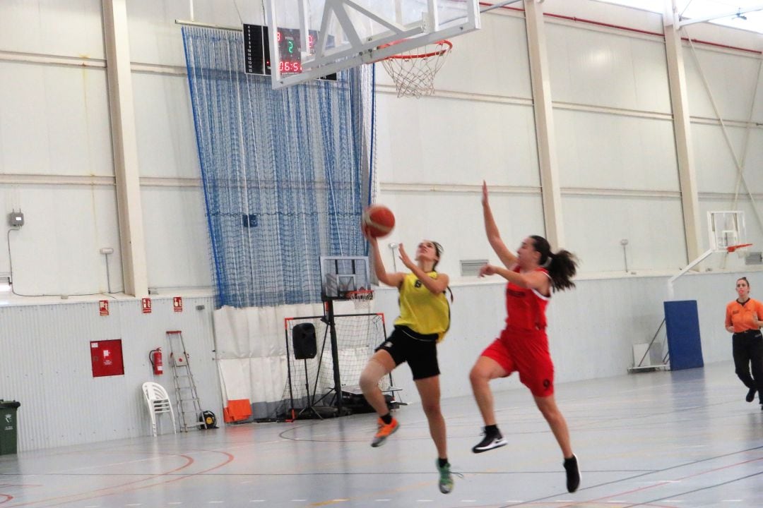 Entrada a canasta de una dianense.