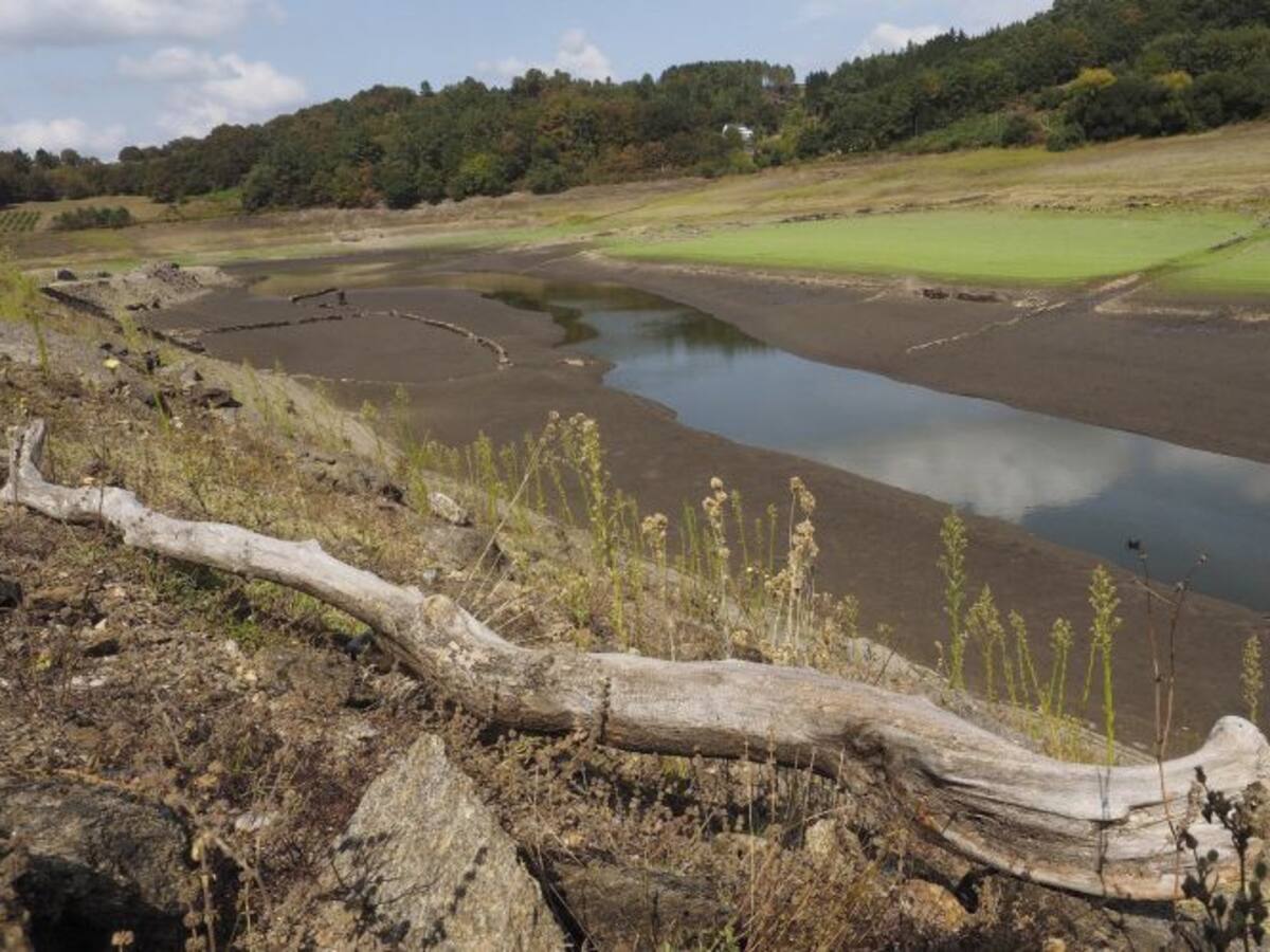Los embalses reducen un 2% su capacidad pese a las lluvias de la semana pasada