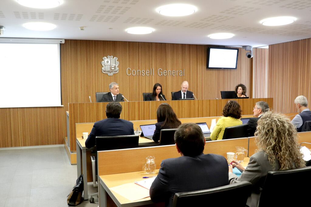 El president de l'Institut Nacional de l'Habitatge, Josep Maria Pla, a la compareixença al Consell General.