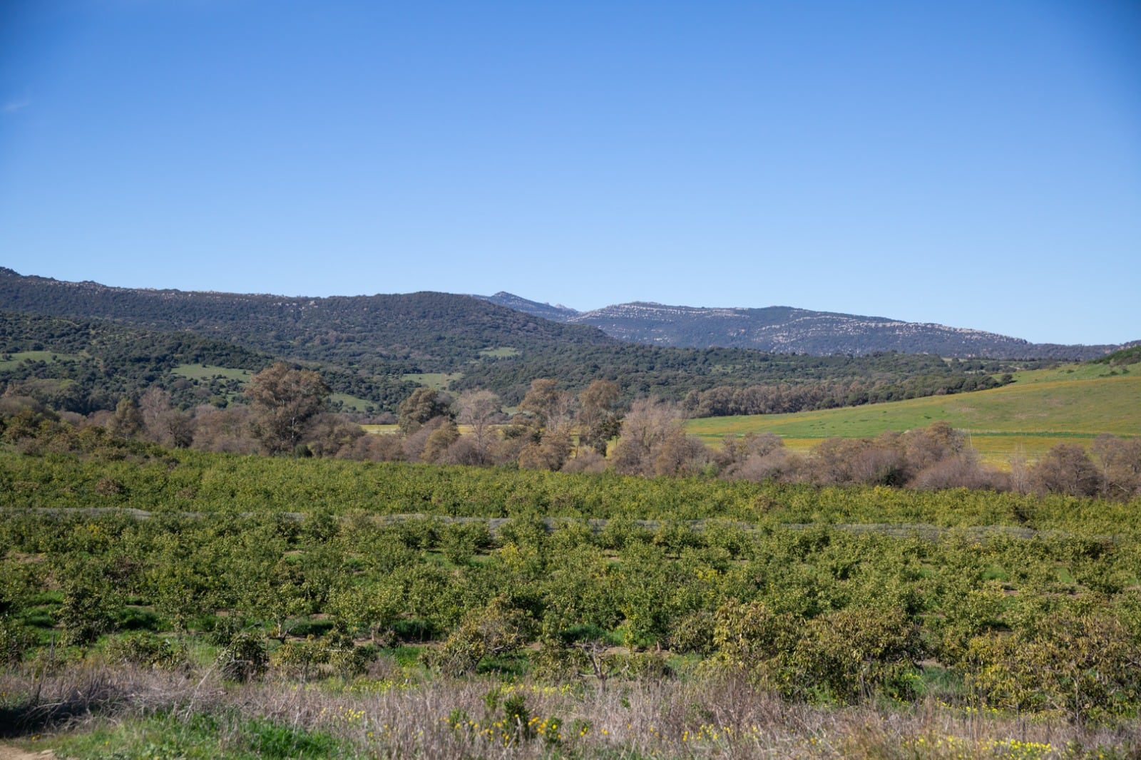 Panorámica de la Finca Vega de la Motilla en Los Barrios