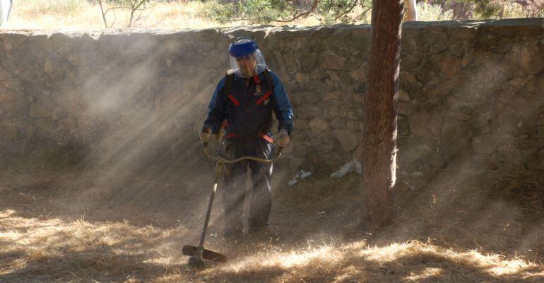 Desbrozar para evitar incendios y plagas