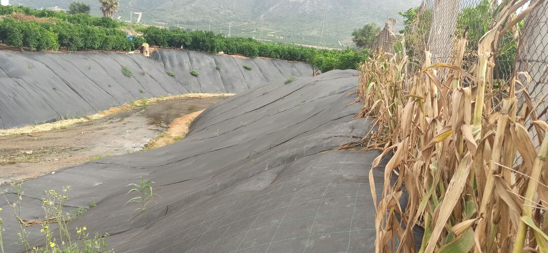 Plástico en el río Vaca de Tavernes de la Valldigna 