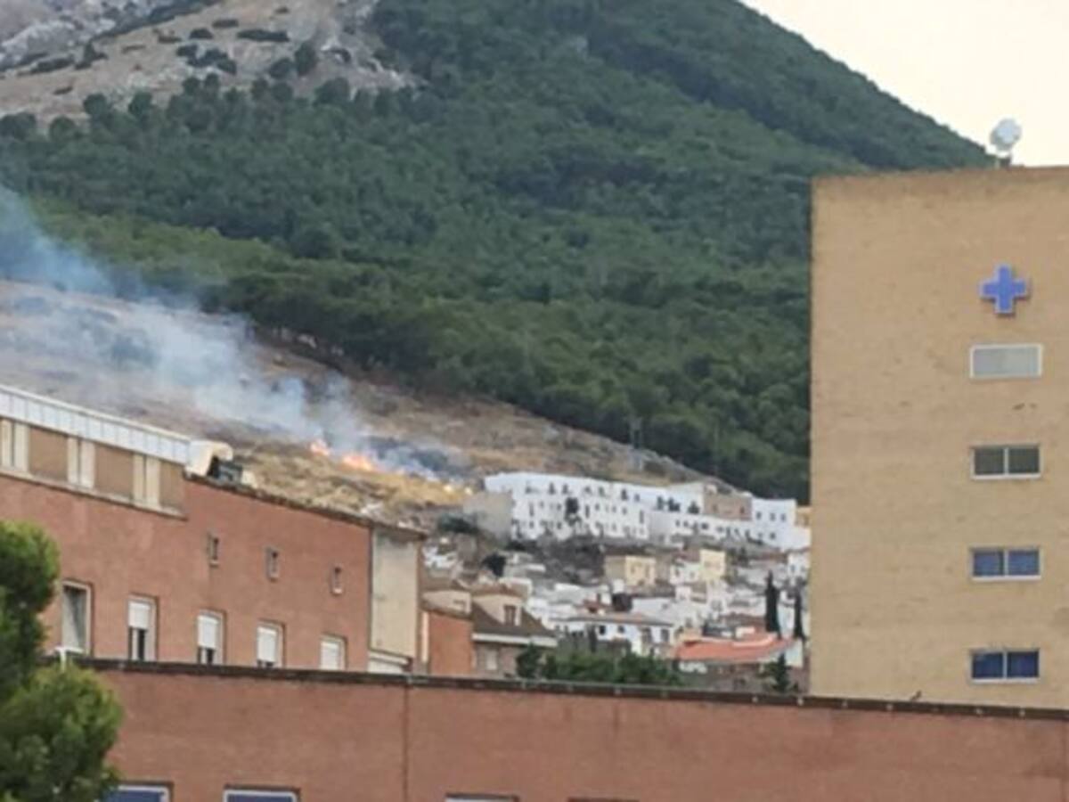 Incendio forestal en las faldas del Castillo