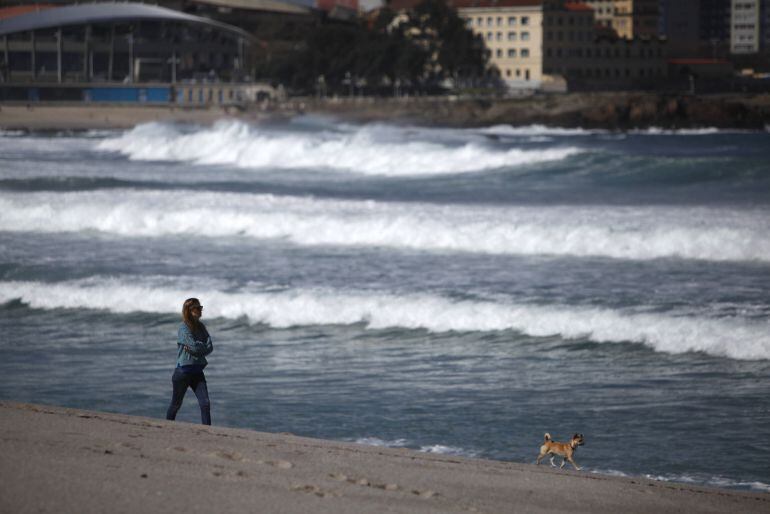 El disfrute de nuestro animal de compañía debe hacerse con respeto a los demás usuarios de espacios públicos.