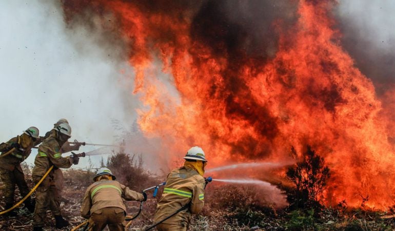 Los bomberos tratan de apagar las llamas.