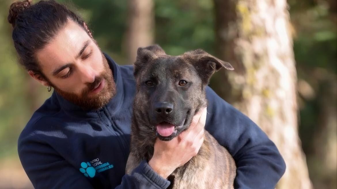 Imagen de un cuidador y un perro del Centro Integral de Acogida de Animales