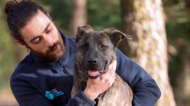 Imagen de un cuidador y un perro del Centro Integral de Acogida de Animales