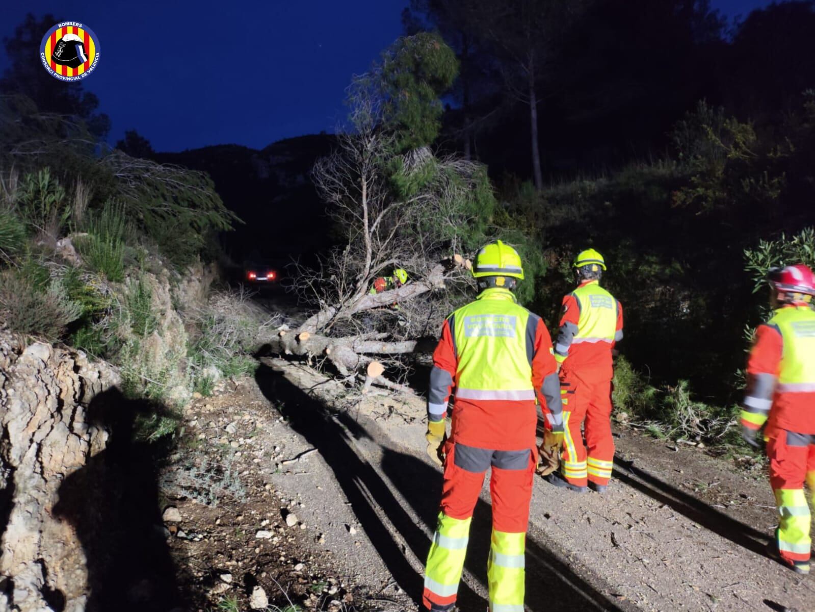 Efectivos del Consorcio Provincial de Bomberos retiran un pino de grandes dimensiones caído en una zona rural situada entre Vallada y Ontinyent, uno de los servicios realizados a causa del fuerte temporal de viento