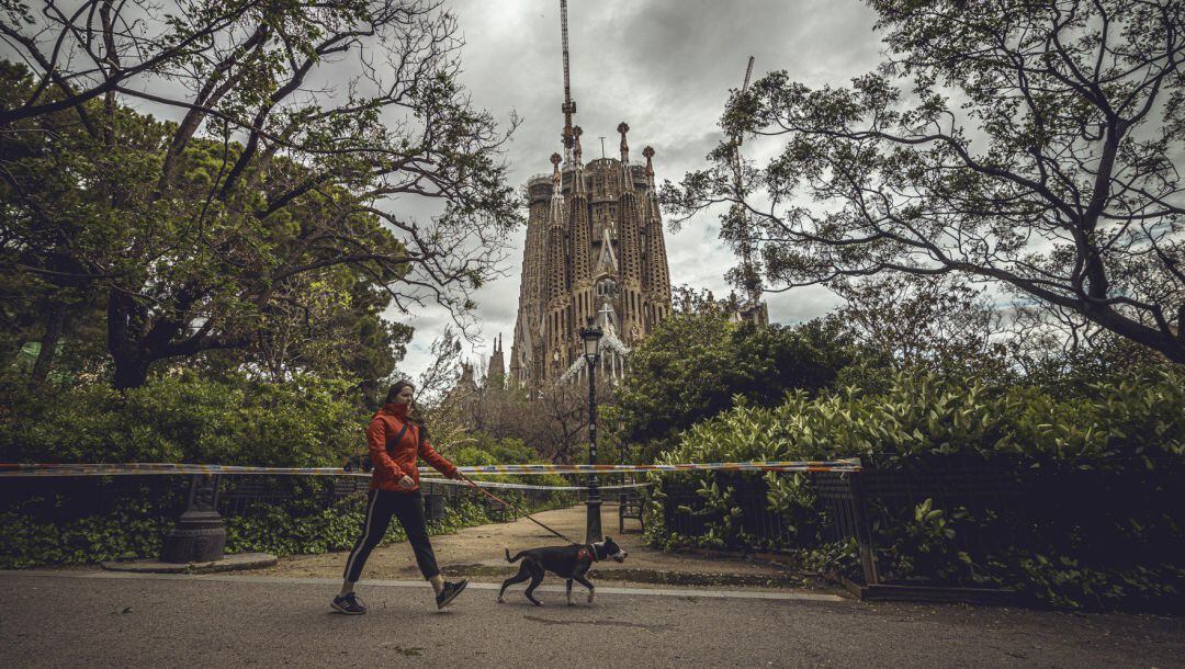 Una mujer pasea a su perro cerca de la Sagrada Familia de Barcelona. 