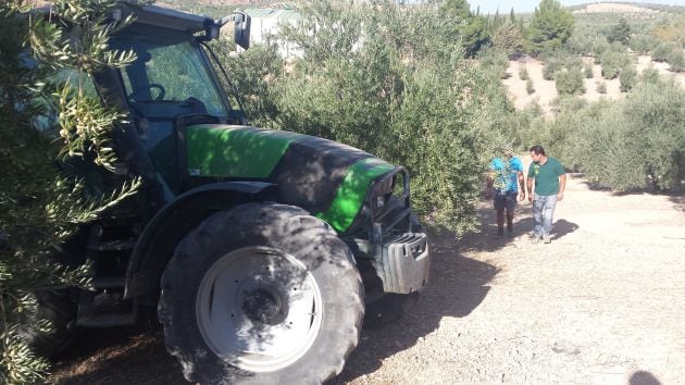 Olivares frente al pueblo de Torrequebradilla, Jaén, afectados por la sequía.En la imagen, Juan Luís Ávila y Juan Antonio González