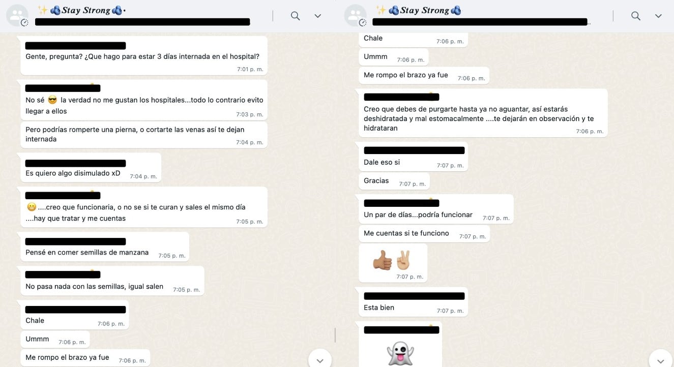 Fragmento de un chat de WhatsApp en el que se hace apología de la anorexia y la bulimia