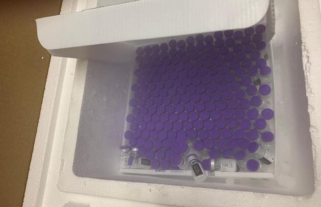 Las primeras vacunas llegan al Hospital de Valdepeñas (Ciudad Real)